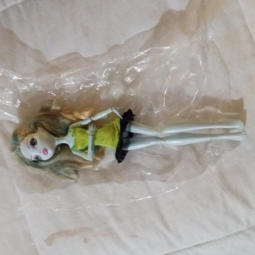 Monster high doll